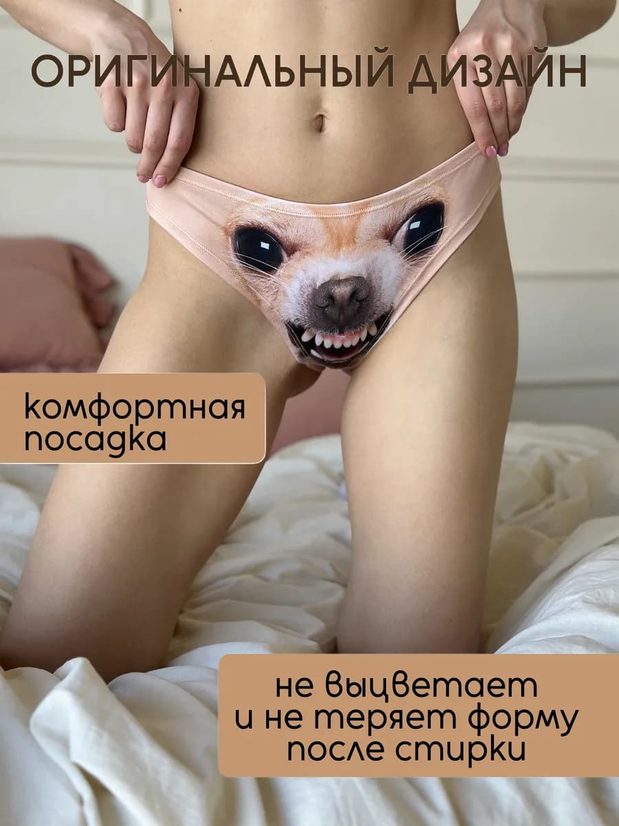 Трусы собака