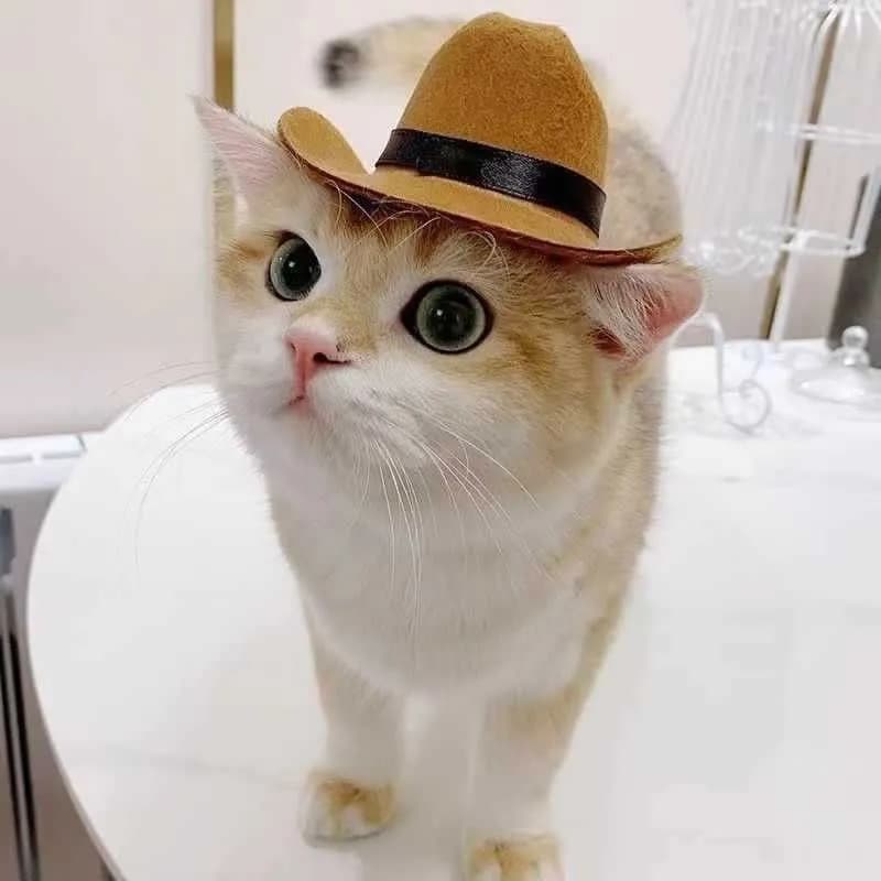 Ковбойская шляпа для кота - изображение 5