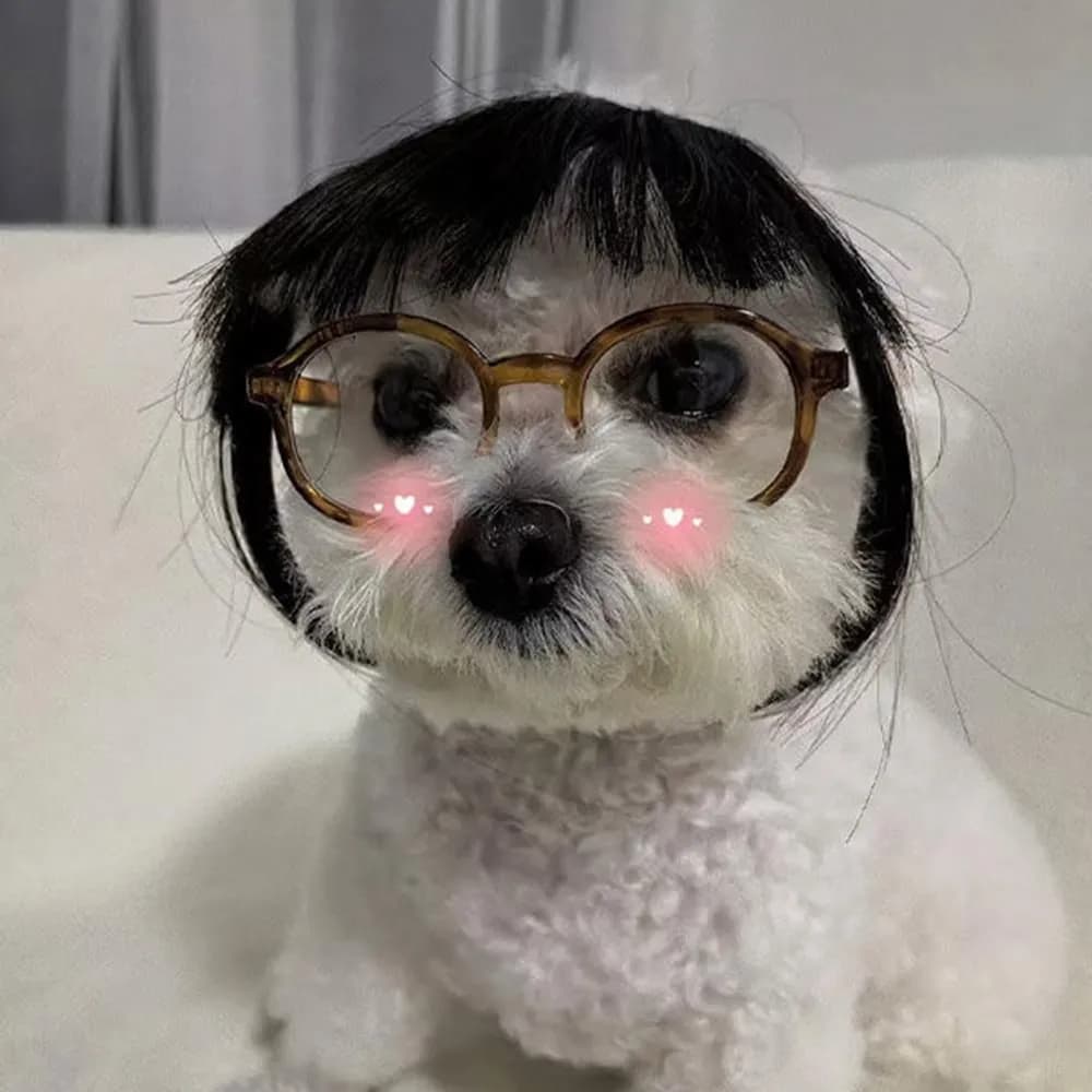 Парик для кота - изображение 5