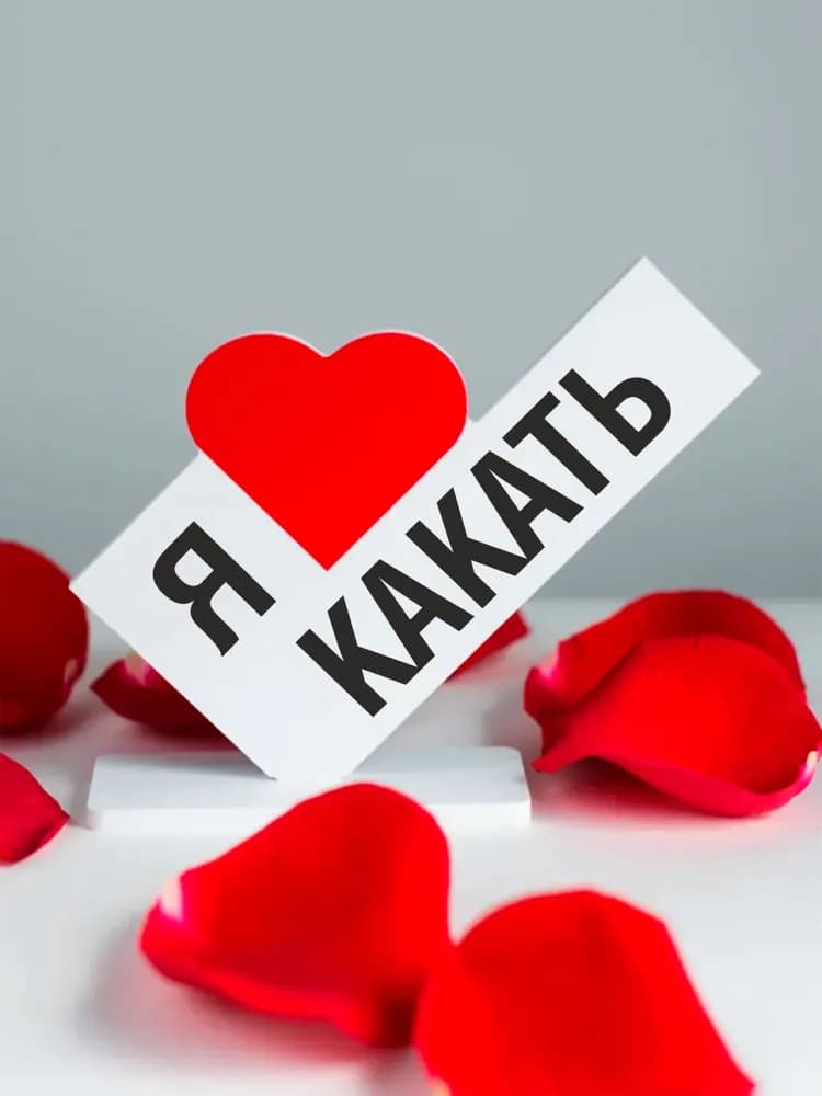 Стелла - изображение 1