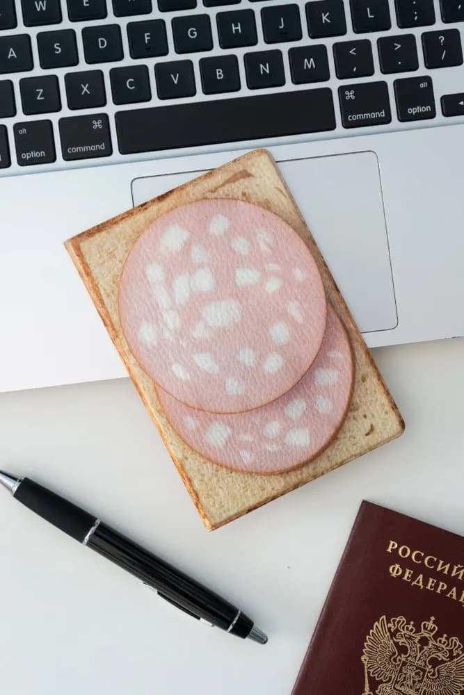 Обложка на паспорт - изображение 1